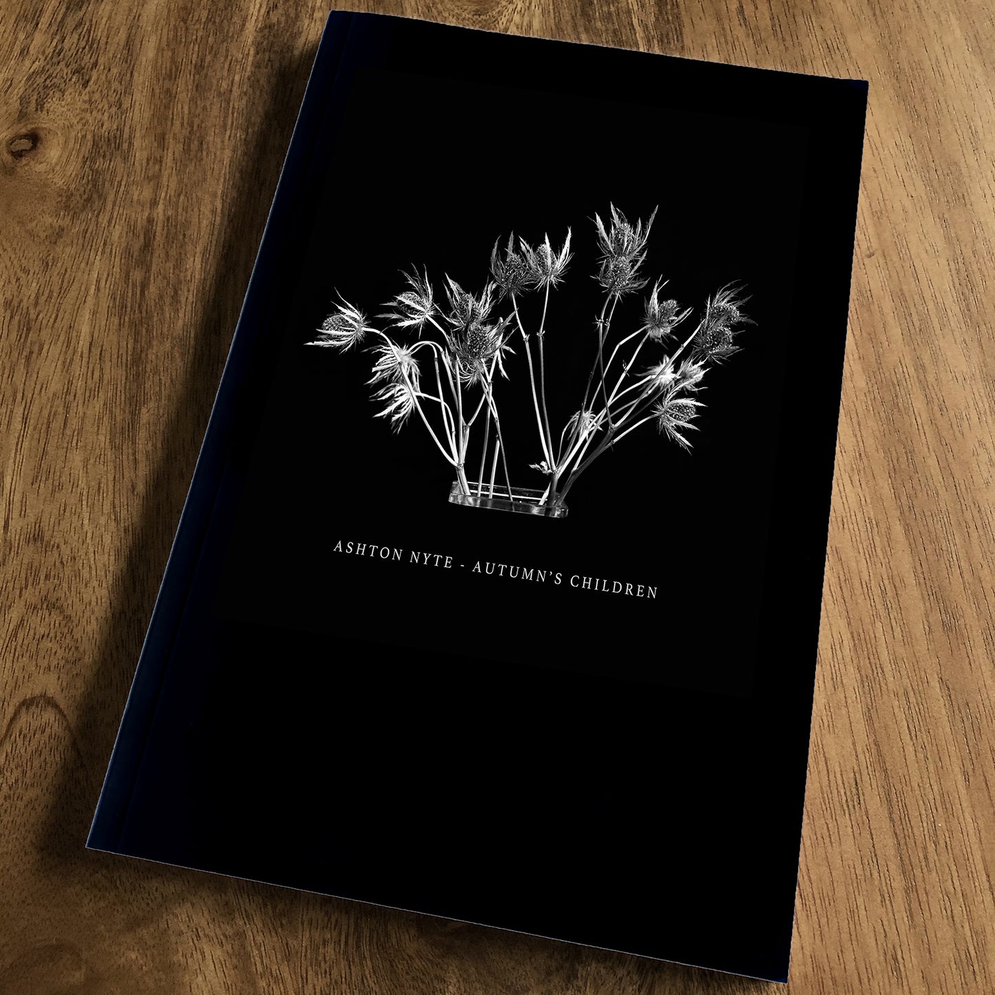 ASHTON NYTE - AUTUMN'S CHILDREN - PAPERBACK BOOK