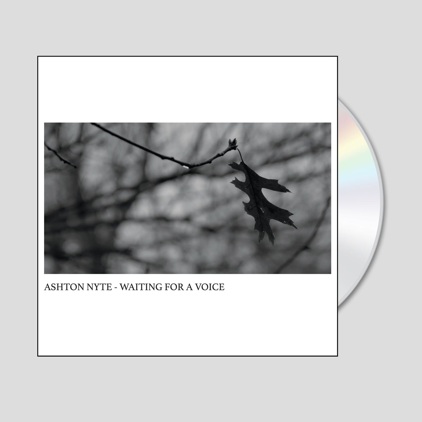 ASHTON NYTE - WAITING FOR A VOICE - CD