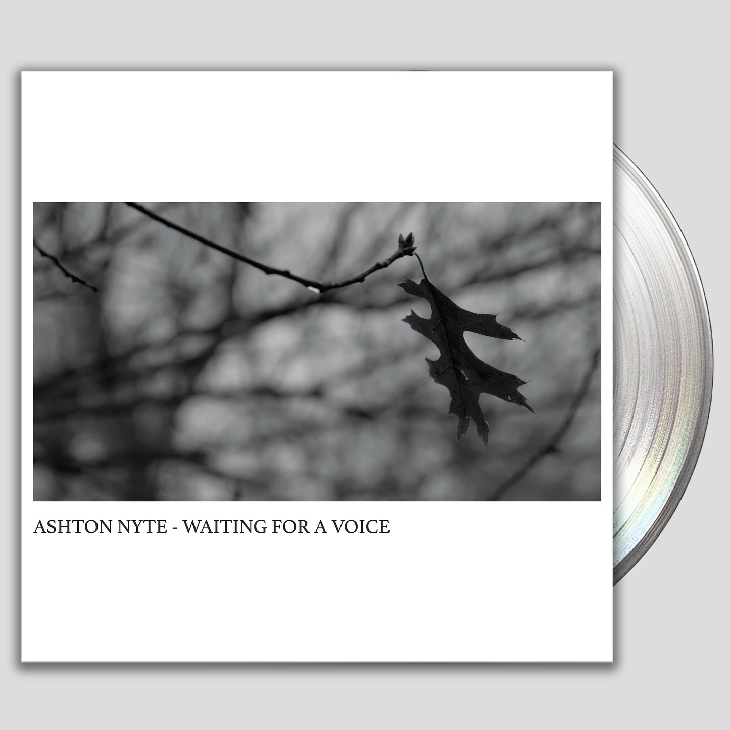 ASHTON NYTE - WAITING FOR A VOICE - VINYL